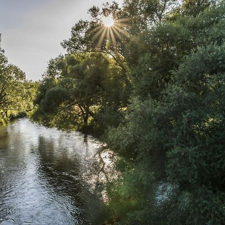 Ferienwohnung Jobst - Ruhig mit Blick ins Grüne Nittenau Exterior foto